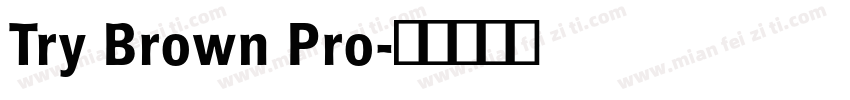 Try Brown Pro字体转换